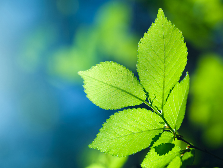 Aptiv Sustainability Planet