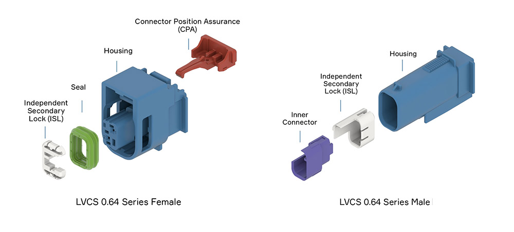 LVCS Female and Male