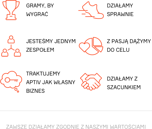 About-values_Polish