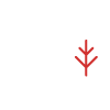 SUSTAINABLE ACCOUNTABILITY