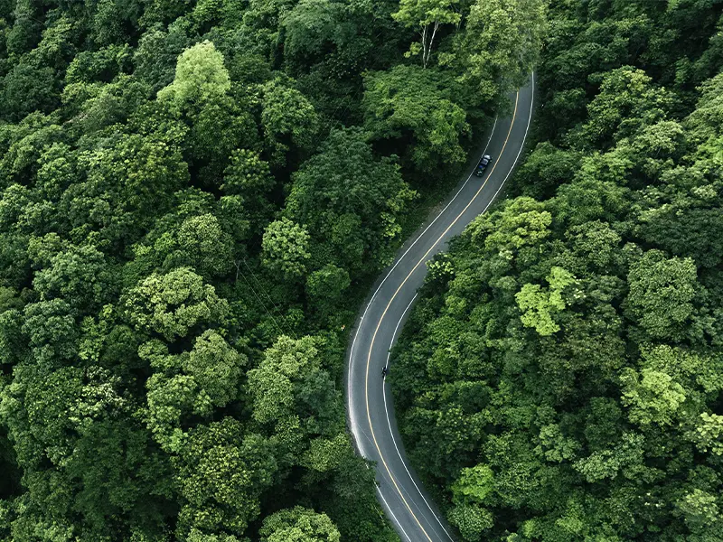 Aptiv Carbon reduction & renewable energy adoption