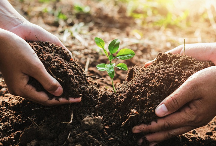 Sustaining our world